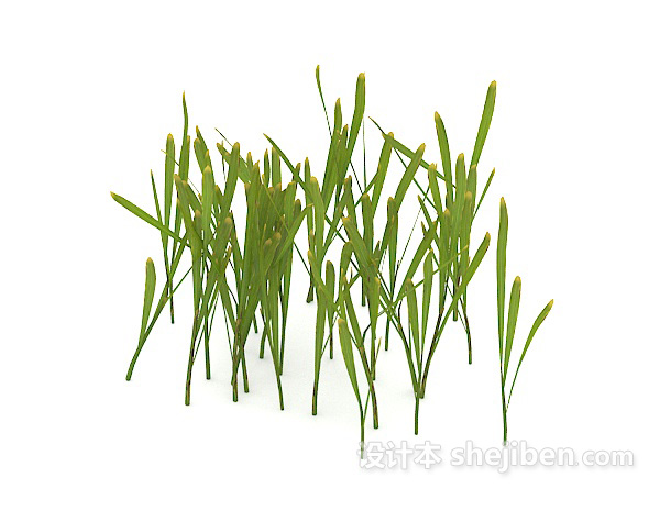 免费室外绿色植物花草3d模型下载