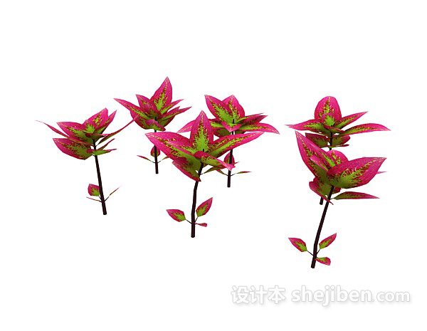 红叶室外植物3d模型下载