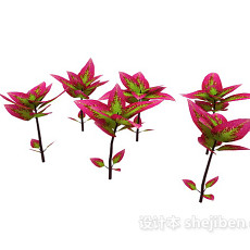 红叶室外植物3d模型下载