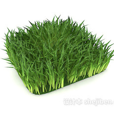 室外绿色草丛3d模型下载