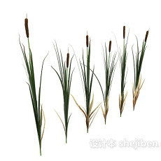 植物稻穗3d模型下载