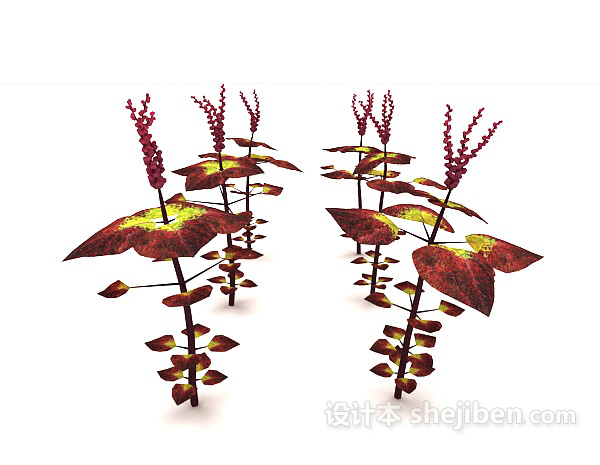 现代风格红叶植物3d模型下载