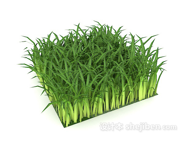 免费丛草植物3d模型下载