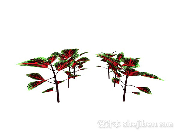 现代风格彩色叶植物3d模型下载