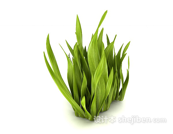 免费绿叶室外植物3d模型下载