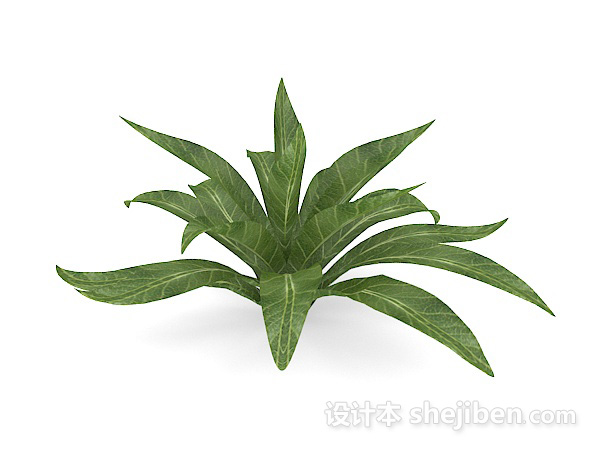 绿叶植物3d模型下载