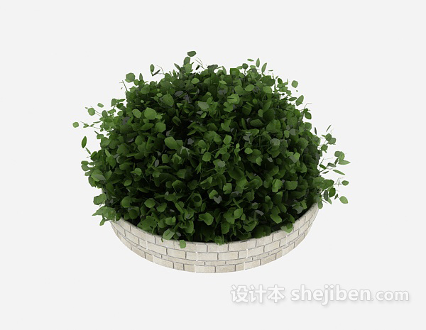 免费盆栽小植物3d模型下载