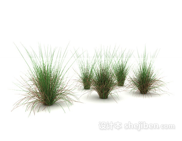 免费绿叶丛生植物3d模型下载