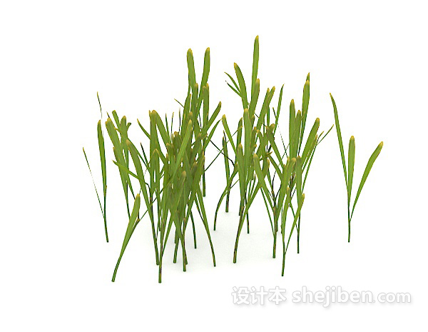 现代风格室外绿色植物花草3d模型下载