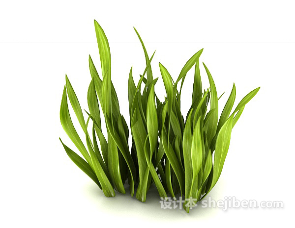 现代风格绿叶室外植物3d模型下载