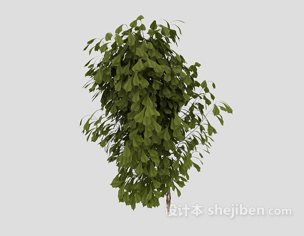 现代风格常见室外绿叶植物3d模型下载