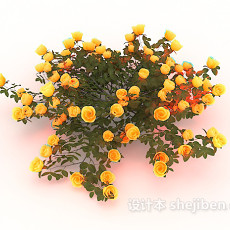 黄色植物花丛3d模型下载