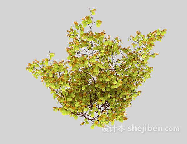 室外浅色特色植物3d模型下载