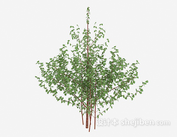 设计本常见室外植物树苗3d模型下载