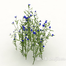 紫花植物3d模型下载