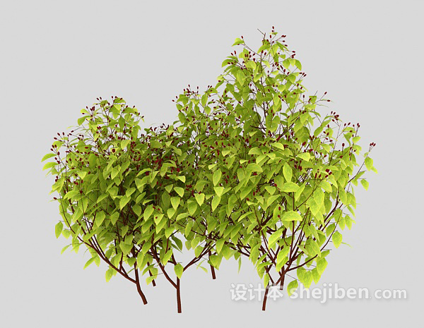 室外嫩绿植物3d模型下载