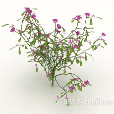 花草植物3d模型下载