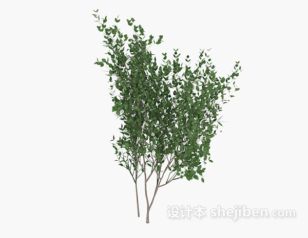设计本培育绿色树苗3d模型下载