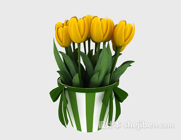 免费室内插花植物3d模型下载