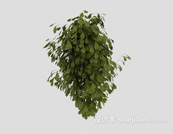 免费常见室外绿叶植物3d模型下载