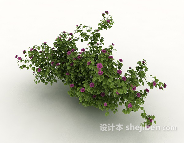 免费室外植物花丛3d模型下载