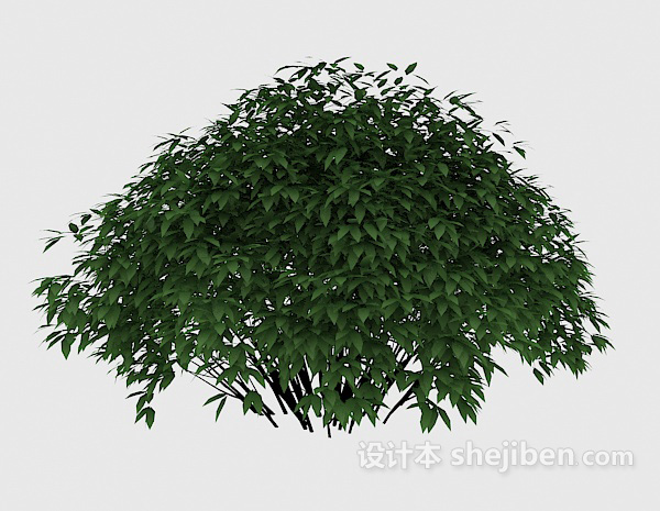 现代风格观赏性绿色植物3d模型下载