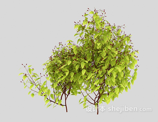 免费室外嫩绿植物3d模型下载