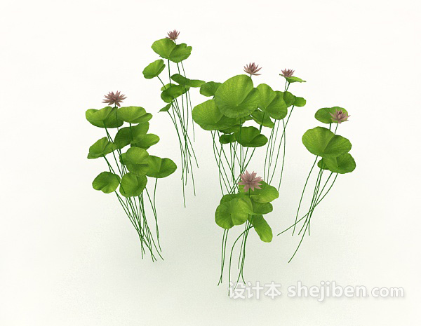 免费绿色观赏植物3d模型下载