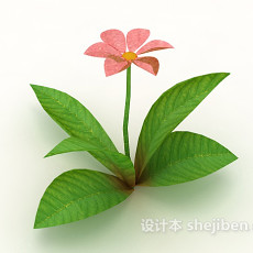 室外植物花朵3d模型下载