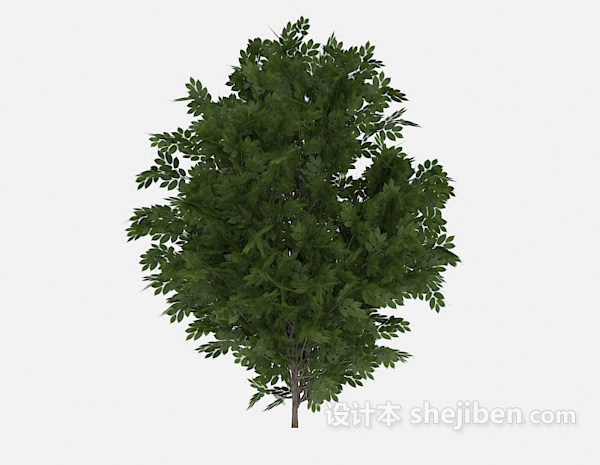设计本葱茏绿树3d模型下载