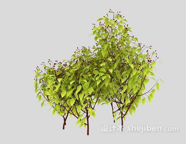 现代风格室外嫩绿植物3d模型下载