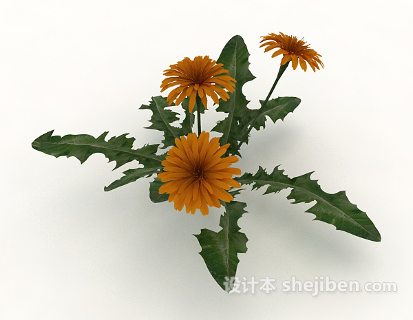 黄花绿色植物3d模型下载