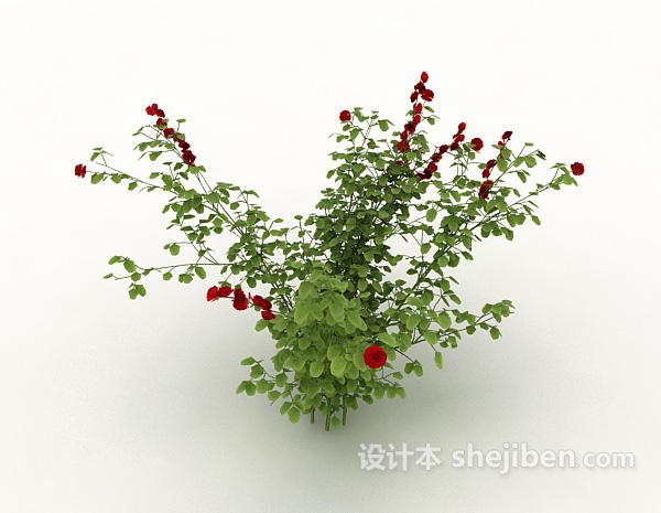 设计本红花绿色植物花草3d模型下载