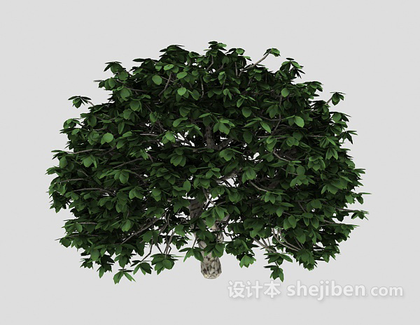 绿色室外盆栽3d模型下载