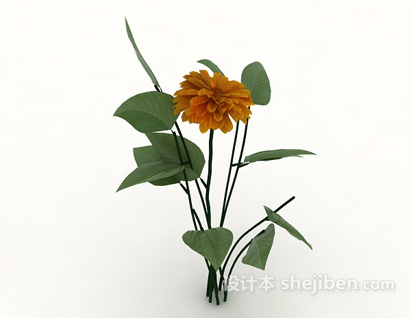 免费观赏绿色植物3d模型下载