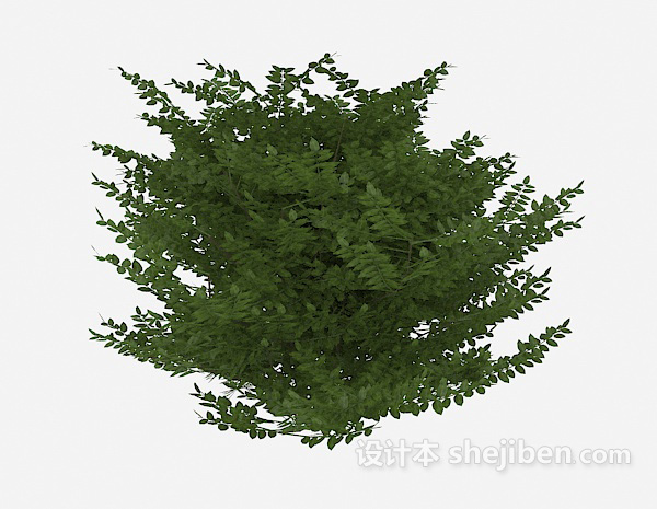 免费室外植物树苗3d模型下载