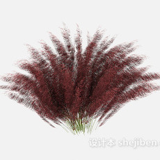 红色植物花絮3d模型下载