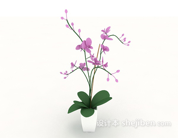 设计本家居室内盆栽植物3d模型下载