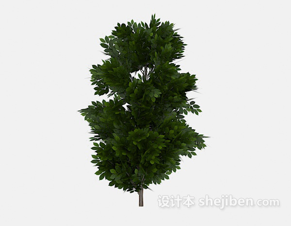 现代风格多枝丫绿树植物3d模型下载