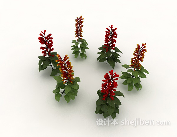 现代风格开花植物3d模型下载