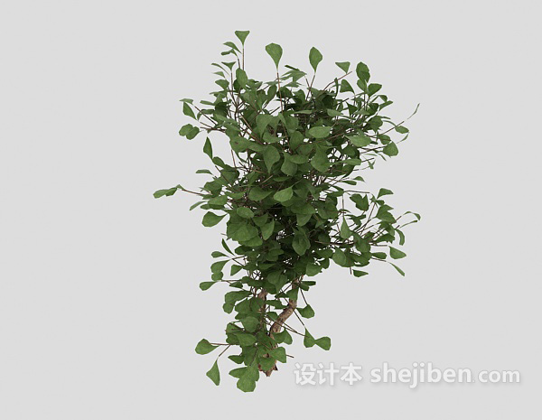 设计本室外绿树3d模型下载