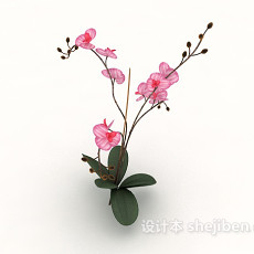 室内植物花束3d模型下载
