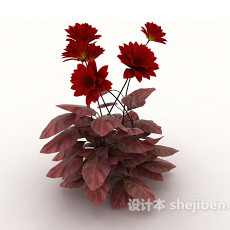 室外红色植物花卉3d模型下载