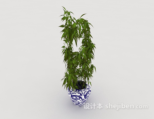 免费室内观赏盆栽3d模型下载
