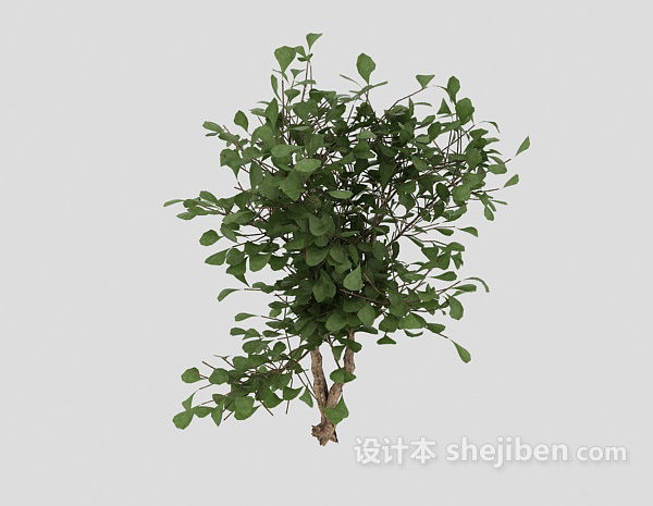 免费室外绿树3d模型下载