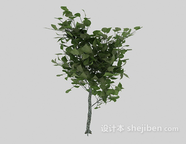 设计本绿色室外植物树苗3d模型下载