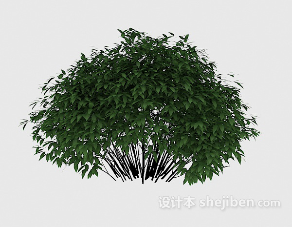 设计本观赏性绿色植物3d模型下载