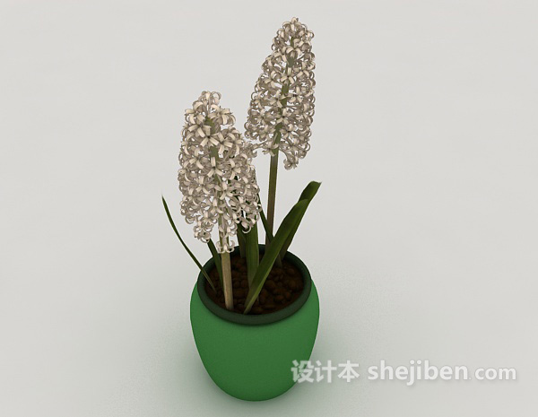 现代风格风信子绿色盆栽3d模型下载