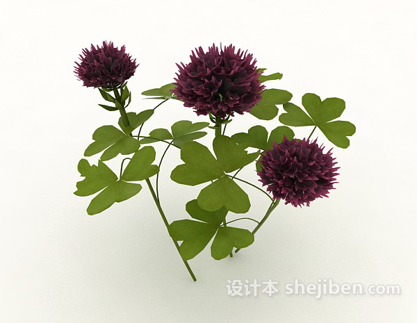 大朵花植物3d模型下载