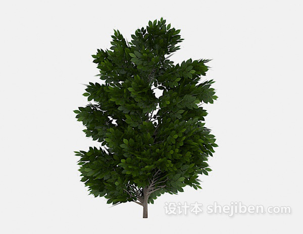 多枝丫绿树植物3d模型下载